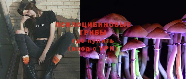 винт Майский