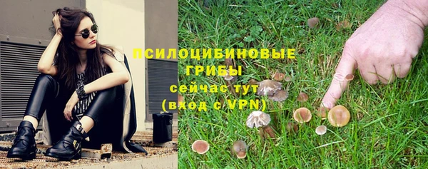 ПСИЛОЦИБИНОВЫЕ ГРИБЫ Липки