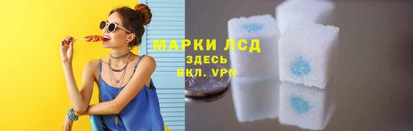 ПСИЛОЦИБИНОВЫЕ ГРИБЫ Липки